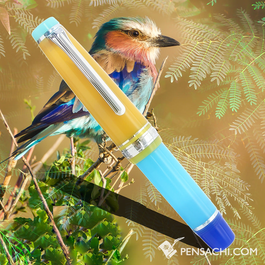 SAILOR Limited Edition Professional Gear Mini Fountain Pen - Lilac Breasted Roller - PenSachi Japanese Limited Fountain Pen