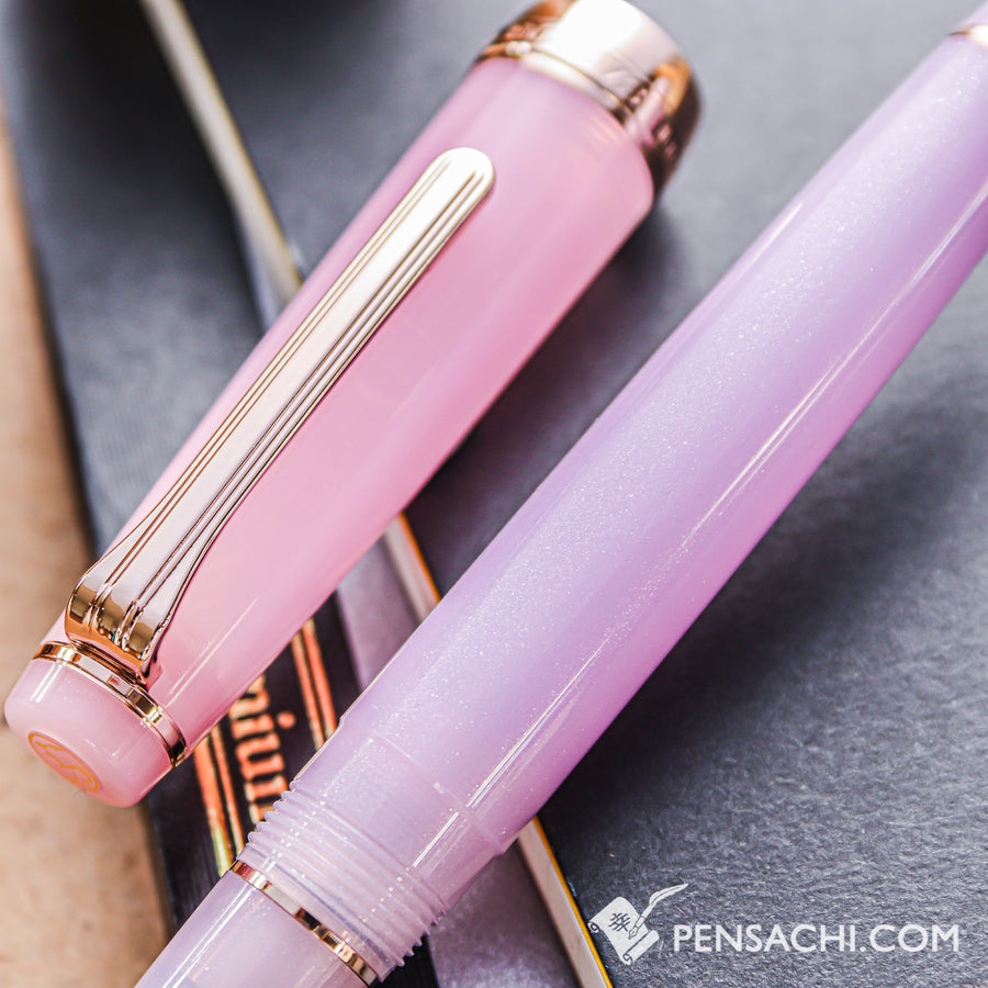 SAILOR Limited Edition Pro Gear Slim Fountain Pen - Rindou - PenSachi Japanese Limited Fountain Pen